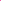 Gants Regular Bicolore - 100% Cachemire - Flash Pink