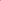 Gants Regular à Côtes - 100% Cachemire - Holiday Pink