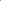 Casquette From Future - Coton - Burgundy